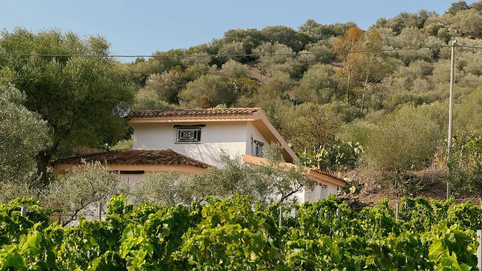 Casa Di Campagna 'Sa Vinzedda' Galtellì 0*,  Italia